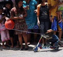 Menhut Apresiasi Langkah Jokowi Bersihkan Topeng Monyet di Jakarta