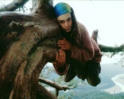 Berjuang Lestarikan Alam, Wanita Ini Tinggal di Atas Pohon Selama 738 hari