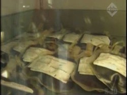 Ngeri! Kantong Darah PMI Terinfeksi Virus HIV dan Sipilis