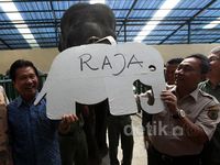 Kunjungi Taman Safari, Menhut Beri Nama Gajah