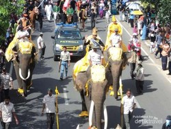 Semarak Pawai Gajah di Aceh