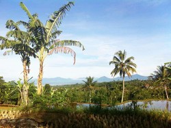 Akhir Pekan ini, Ayo Liburan ke Vila di Sukabumi