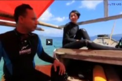 Sengatan Berbuah Manis Di NTT