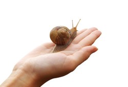 Amankah Melakukan Perawatan Kulit dengan Ekstrak Hewan?