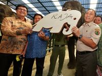Menhut Beri Nama Gajah yang Lahir di TSI