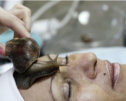 Fenomena Animal Beauty: Perawatan dengan Spa Ular Hingga Krim Walet 