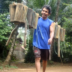 Menengok Cara Pembuatan Gula Semut Organik di Banyumas