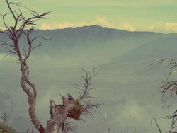 Ini Sisi Lain Kecantikan Gunung Bromo