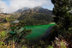 Danau Telaga Warna di Dieng, Cantiknya Mana Tahan!