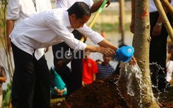 Survei Alvara: Banyak Kader Parpol Non PDIP Dukung Pencapresan Jokowi