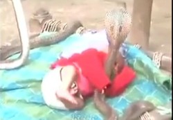 Astaga! Anak Bayi di India Ini Tidur Sambil Dijaga 4 Kobra