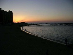 Mesir Begitu Romantis di Alexandria