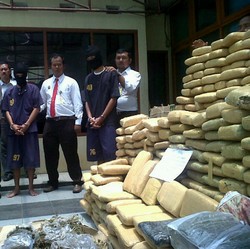 Ganja 330 Kilogram Senilai Hampir Rp 1 M Disimpan di Kamar Kontrakan