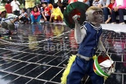 Topeng Monyet dengan Ciri Seperti Ini Bisa Tularkan Penyakit