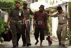 Soal Razia Topeng Monyet, Ini Komentar Dokter dan Ahli Primata