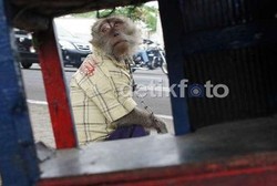 Awas, Penyakit-penyakit pada Monyet Ini Bisa Menular ke Manusia