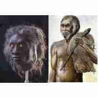 Misteri Hobbit di Flores dan Kaitannya dengan Manusia Modern Nusantara