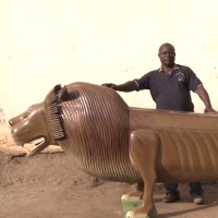 Istirahat Dengan Tenang di Dalam Perut Ikan Raksasa 