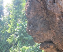 Penampakan Tebing Berwajah Manusia di Raja Ampat