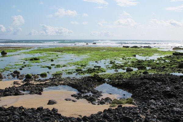 Pantai Tiga Warna di Banyuwangi