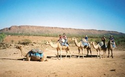 5 Fakta Unik Australia yang Anda Perlu Tahu