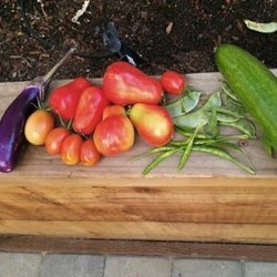 Jepretan Kamera Nexus 5 Beredar