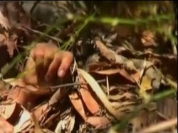 Usai Mencuci, Janda 35 Tahun Ditemukan Tewas Tanpa Busana