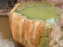 Waspada! Ada Kolam Beracun di Grand Canyon