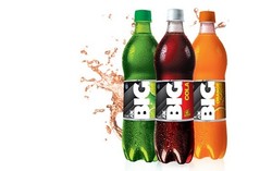 BIG Cola Ajak Adopsi Jerapah Bareng Sandra Dewi di Afrika