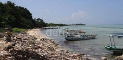 Bupati Kepulauan Seribu Curhat Masalah Sampah dan Listrik ke Jokowi