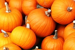 Labu Kuning Halloween Bikin Awet Muda dan Gairah Seks Jadi Kuat