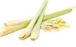 Perut Ramping Berkat Konsumsi Serai dan Rumput Laut