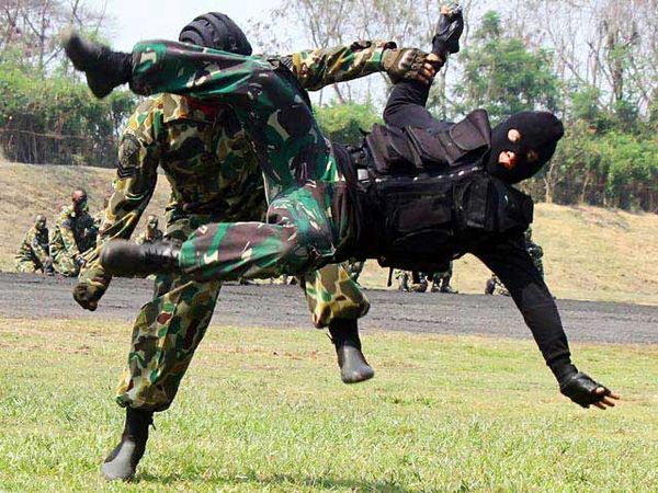 Prajurit Marinir Unjuk Kebolehan Beladiri