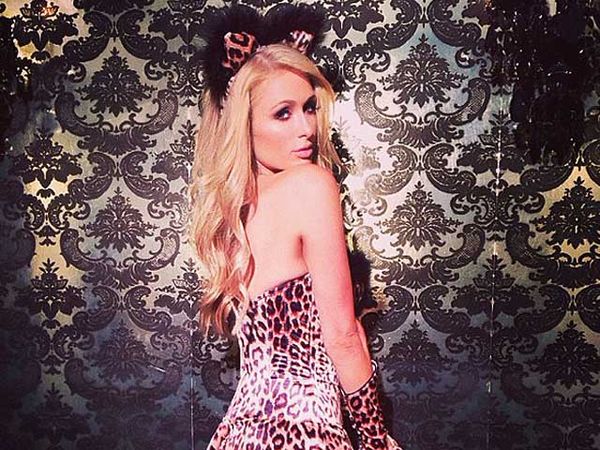 Roar! Paris Hilton si Macan Seksi