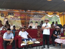  Blusukan ke Gorontalo, Anis Matta Tanam Jagung