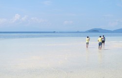 Pantai Cemara, Satu Lagi Pantai Cantik di Raja Ampat