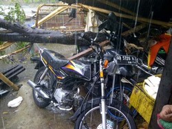 4 Motor Tertimpa Pohon Tumbang Saat Hujan Disertai Angin Terjang Bantul