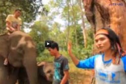 Raksasa Dari Ulu Mansen