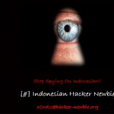 Anonymous Indonesia Serang Ratusan Website Australia