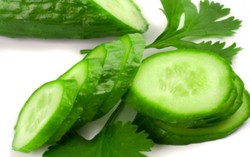 Segar Renyah Mentimun Bisa Turunkan Berat Badan dan Cegah Kanker (1)