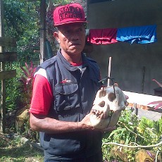 Lagi, Seekor Orangutan Mati, Dagingnya Disantap