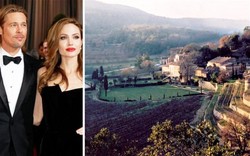 Adakan Lelang Wine, Angelina Jolie dan Brad Pitt Bantu Anak-Anak di Afrika