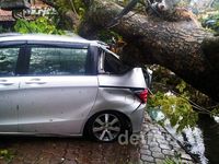 Braakk..Dua Mobil Tertimpa Pohon