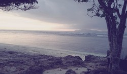 Liburan Seru di G-Land Jungle Surf Camp Banyuwangi