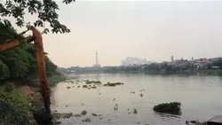 Puluhan Tahun Tak Dikeruk, Jokowi Revitalisasi Waduk Sunter