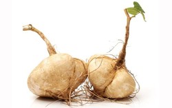 Agar Kulit Tak Cepat Keriput, Sering-seringlah Makan Bengkuang