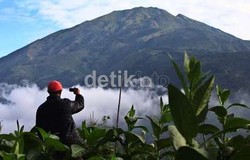 Jalur Evakuasi Merapi Banyak Rusak, Harus Dipisah dengan Jalur Penambangan