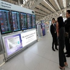 423 Ekor Kura-kura Langka Ditemukan dalam Koper di Bandara Thailand