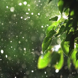 Kontes FotoStop: November Rain