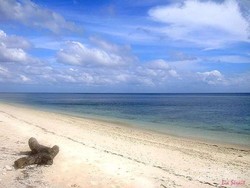 Bersantai di Pantai Pribadi Pasir Panjang Wakatobi